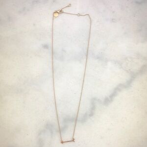 Stella & Dot Delicate Gold Necklace